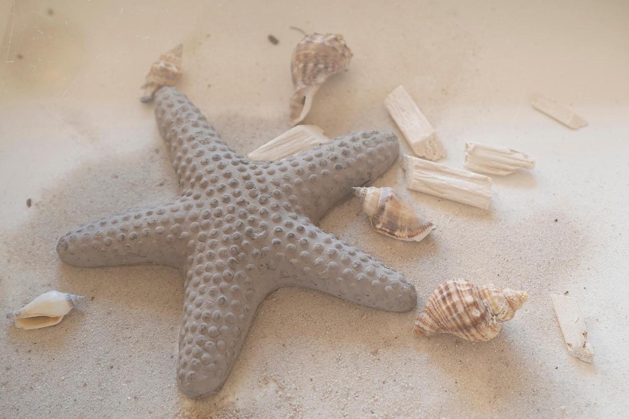 Strandfee Sommerglueck เกรอมิทซ์ ภายนอก รูปภาพ